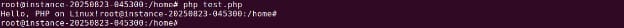 PHP CLI Hello output
