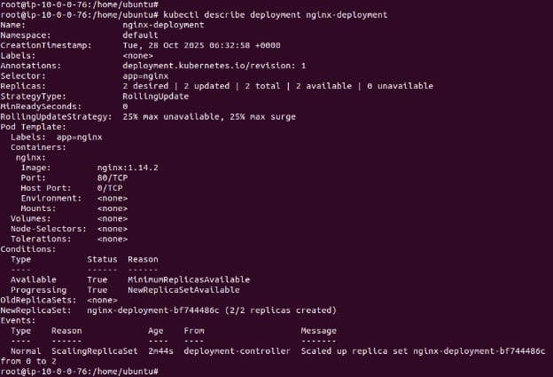 Describing the NGINX deployment