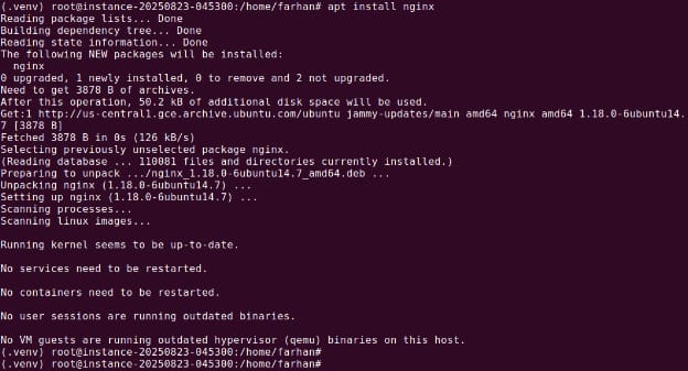 nginx apt install output