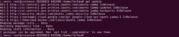 nginx apt install