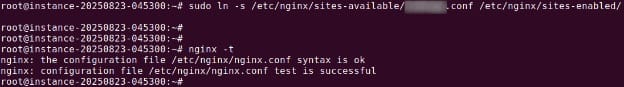 nginx config test