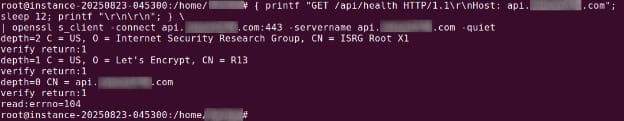 nginx slow client test