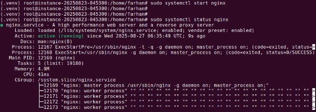 nginx systemctl status