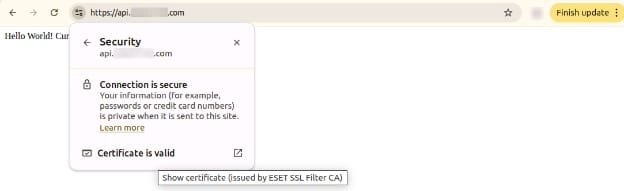 Node.js app browser output
