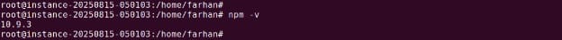 Checking the installed npm version