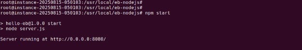 The Node.js server running locally
