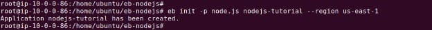 Initializing the Elastic Beanstalk project