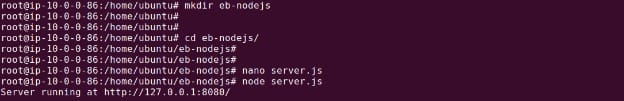 Running the Node.js server locally