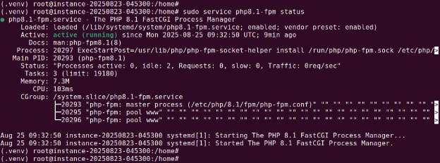 Checking the PHP-FPM service status