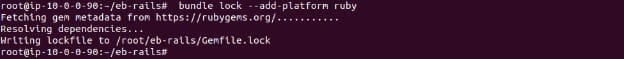 Adding the Ruby platform to the lockfile