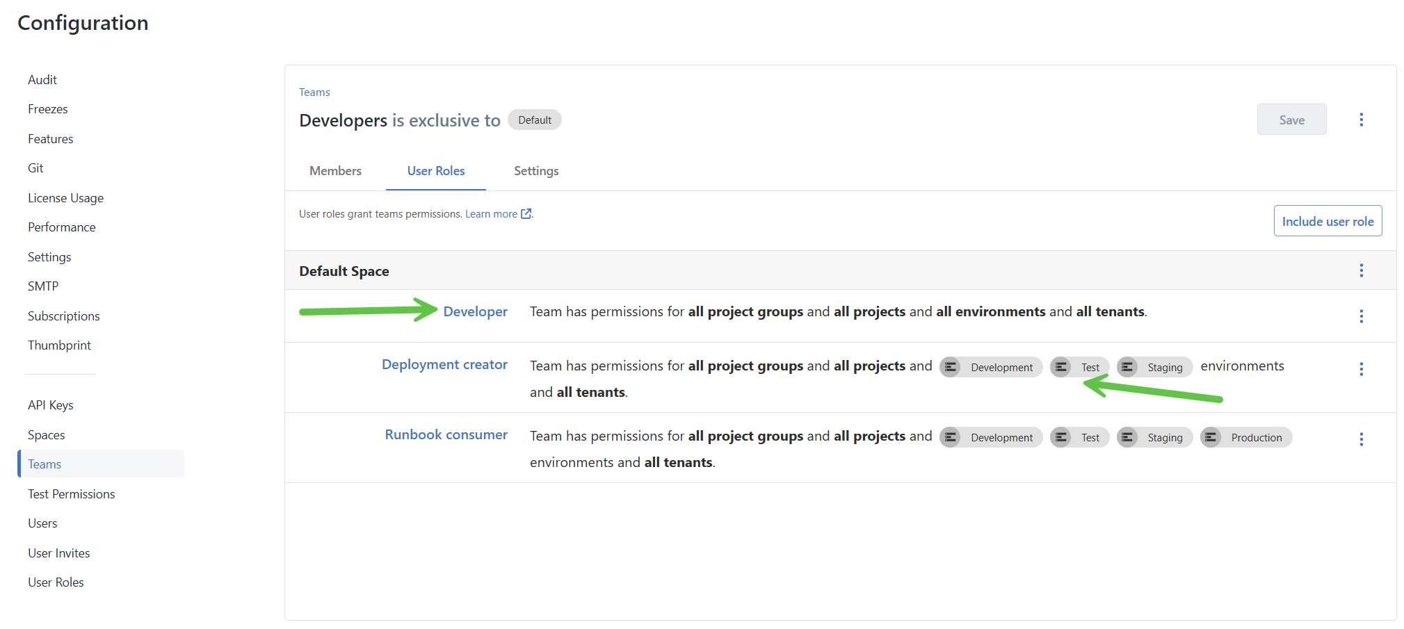 Developer team user role assignment