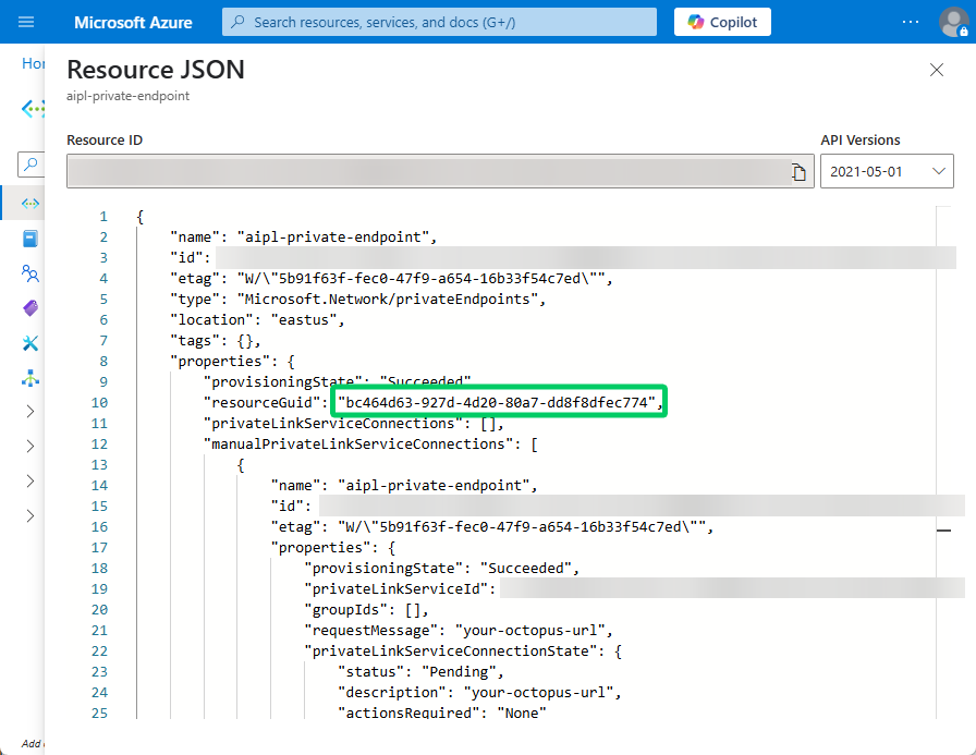 A screenshot of a Private Endpoint's JSON View in the Azure Portal highlighting the ResourceGuid field